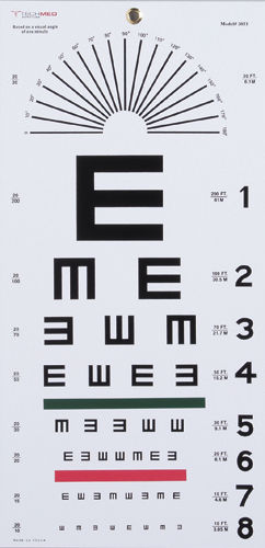 Illiterate Eye Chart 22 x11