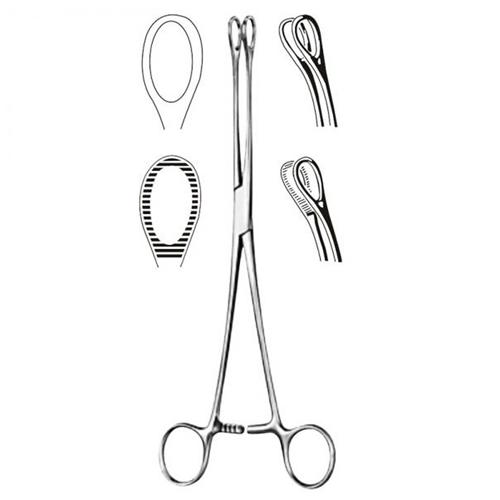 Foerster Sponge Forcep- 7  Serrated